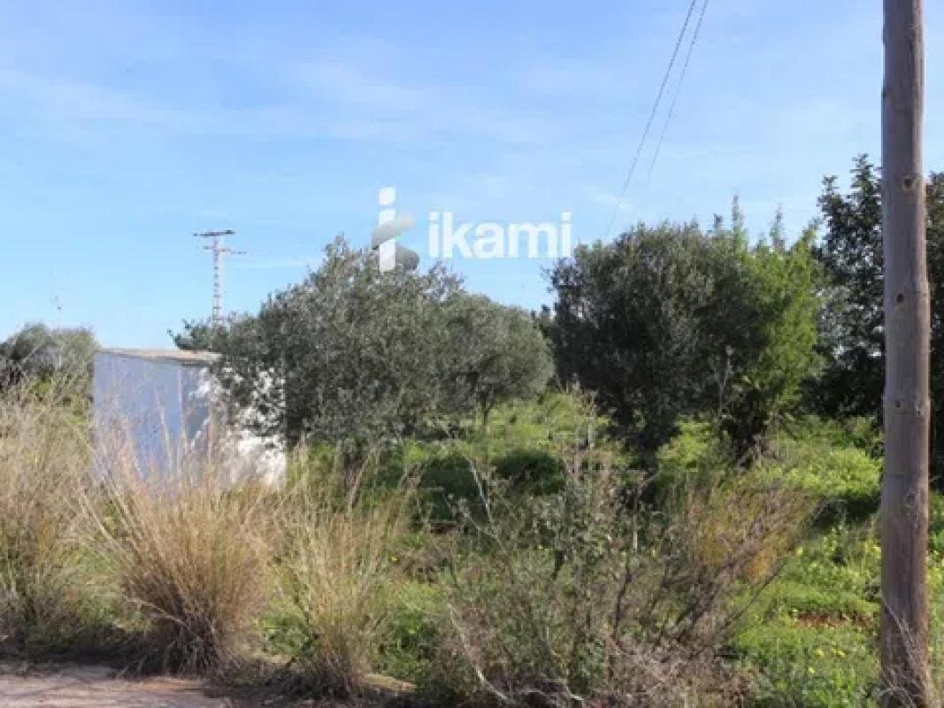 Terreno en venta en Els Poblets, Alicante photo 2