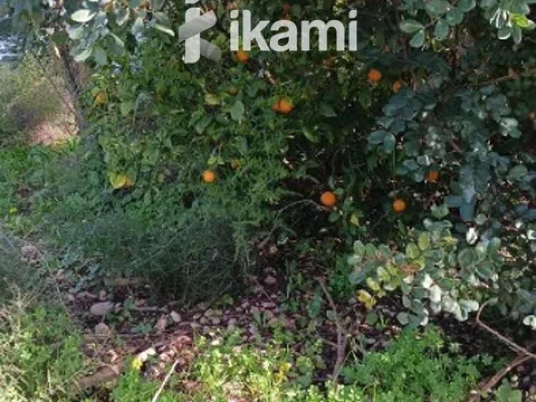 Terreno en venta en Els Poblets, Alicante photo 3