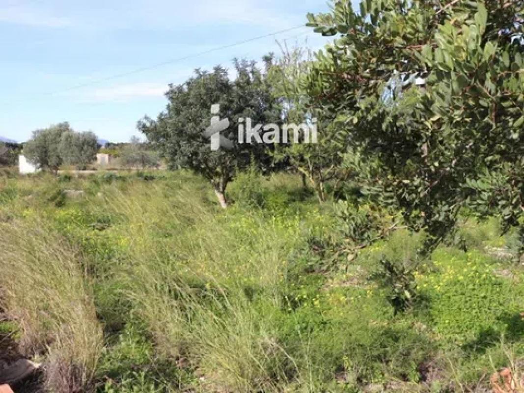 Terreno en venta en Els Poblets, Alicante photo 5