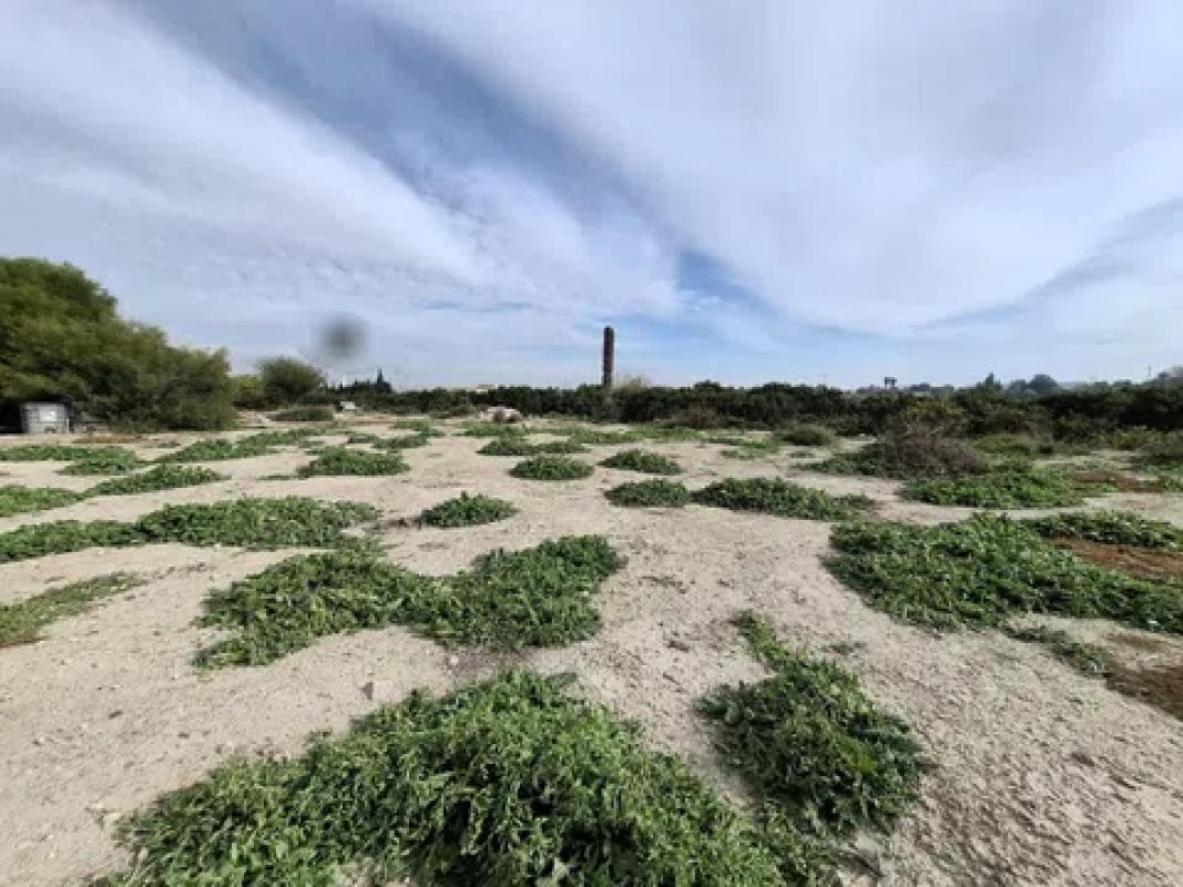 Działka na sprzedaż w San Fulgencio, Alicante photo 2