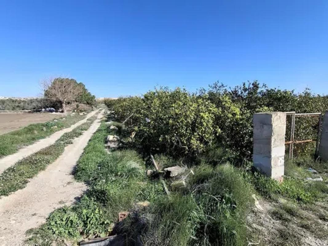 Działka na sprzedaż w San Fulgencio, Alicante photo 3