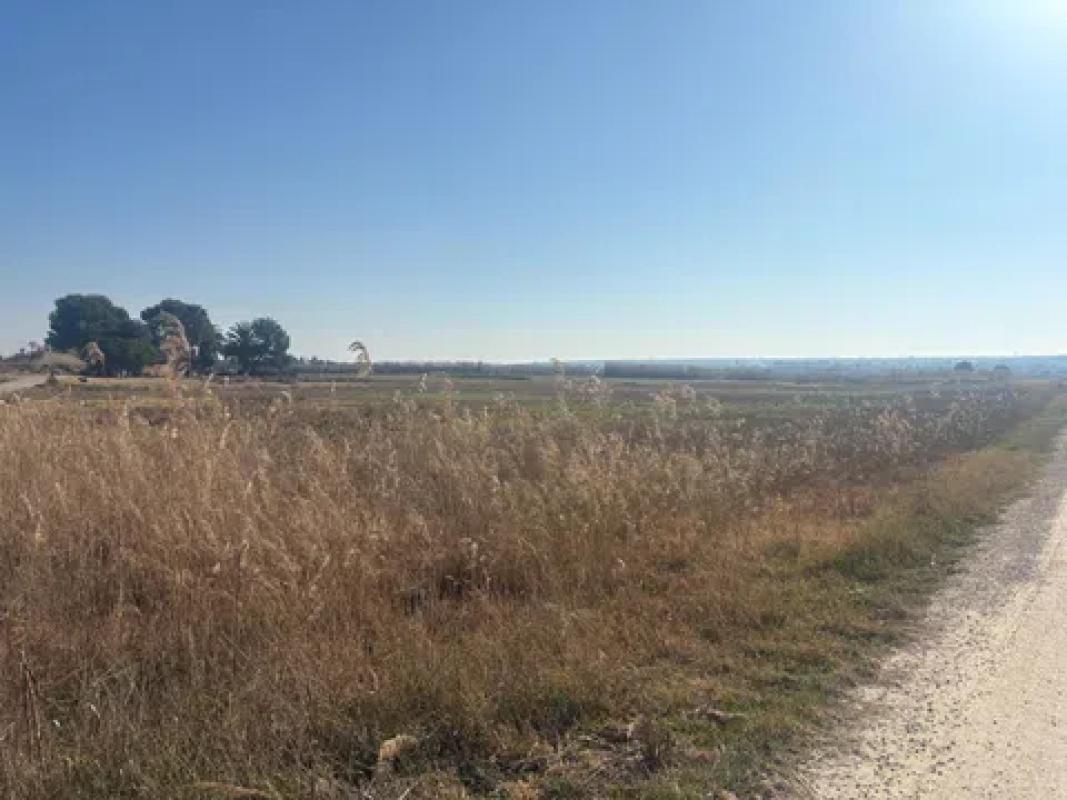 Terreno en venta en Elche / Elx, Alicante photo 2