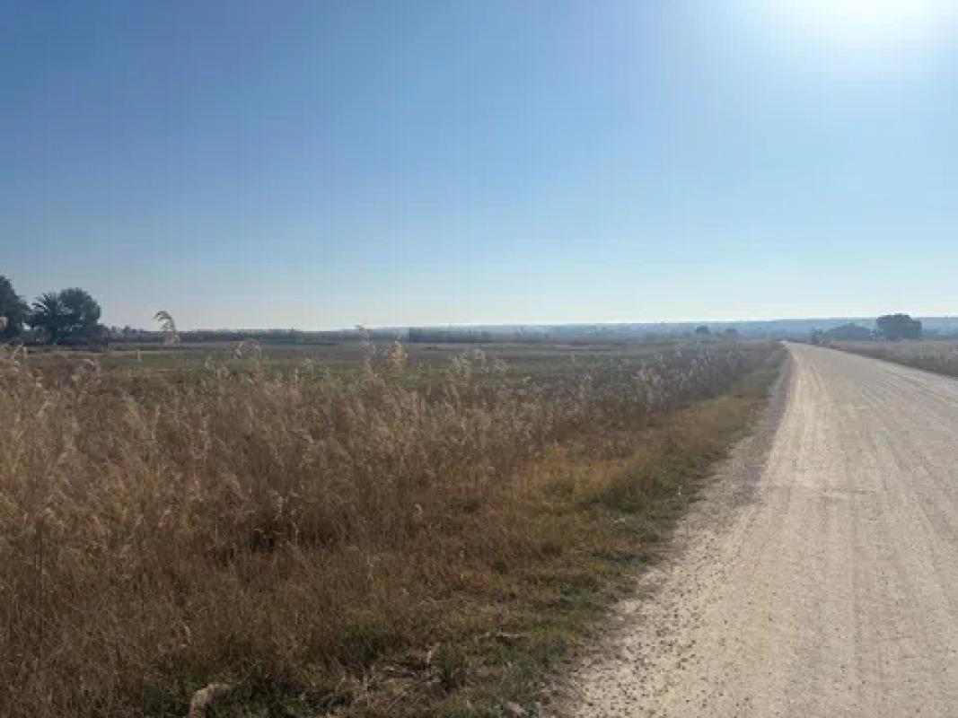 Terreno en venta en Elche / Elx, Alicante photo 3