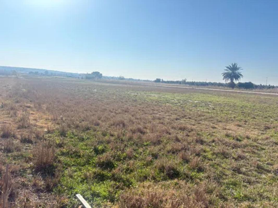 Terreno en venta en Elche / Elx, Alicante photo 4