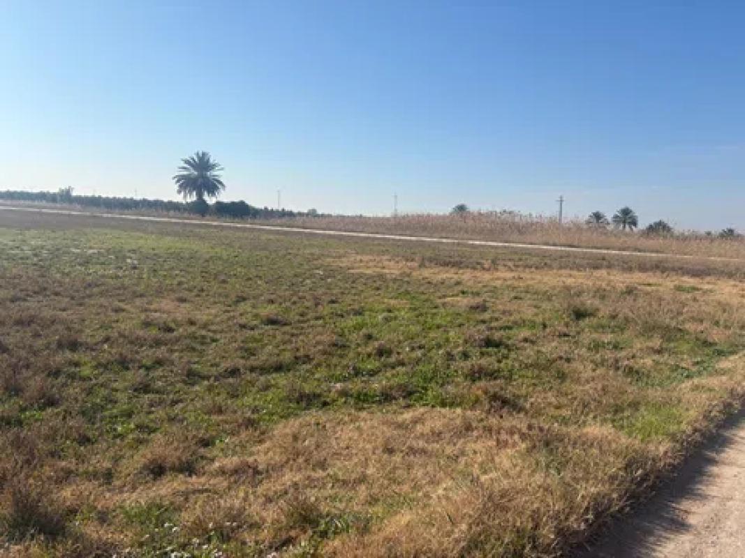 Terreno en venta en Elche / Elx, Alicante photo 5