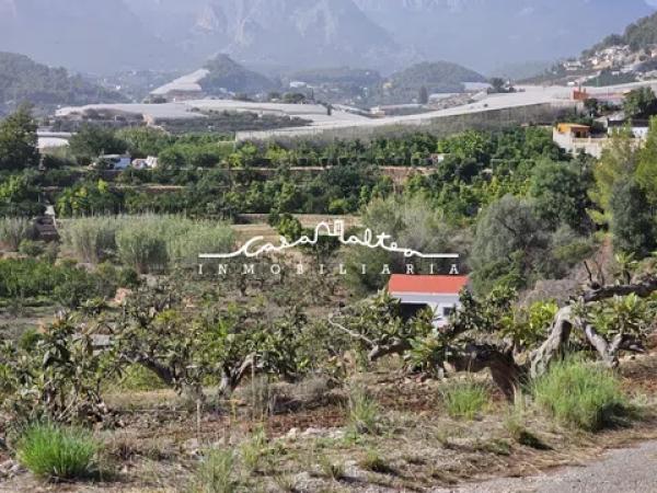 Terreno en Callosa d'En Sarria photo 4