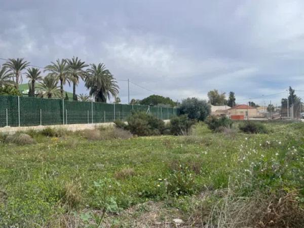 Terreno en camino los Coves, 2 photo 1