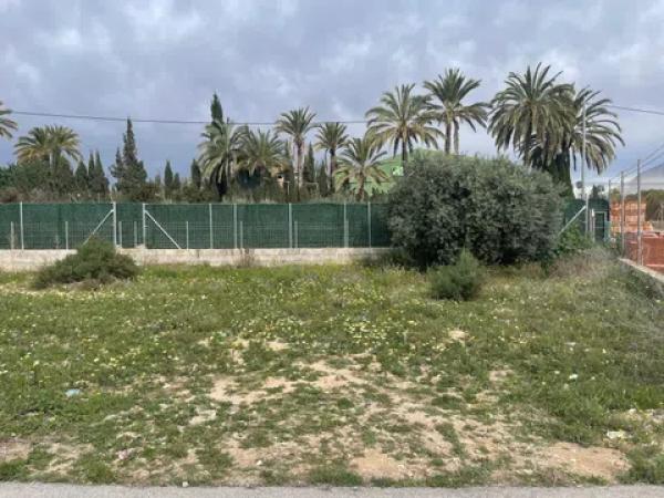 Terreno en camino los Coves, 2 photo 3