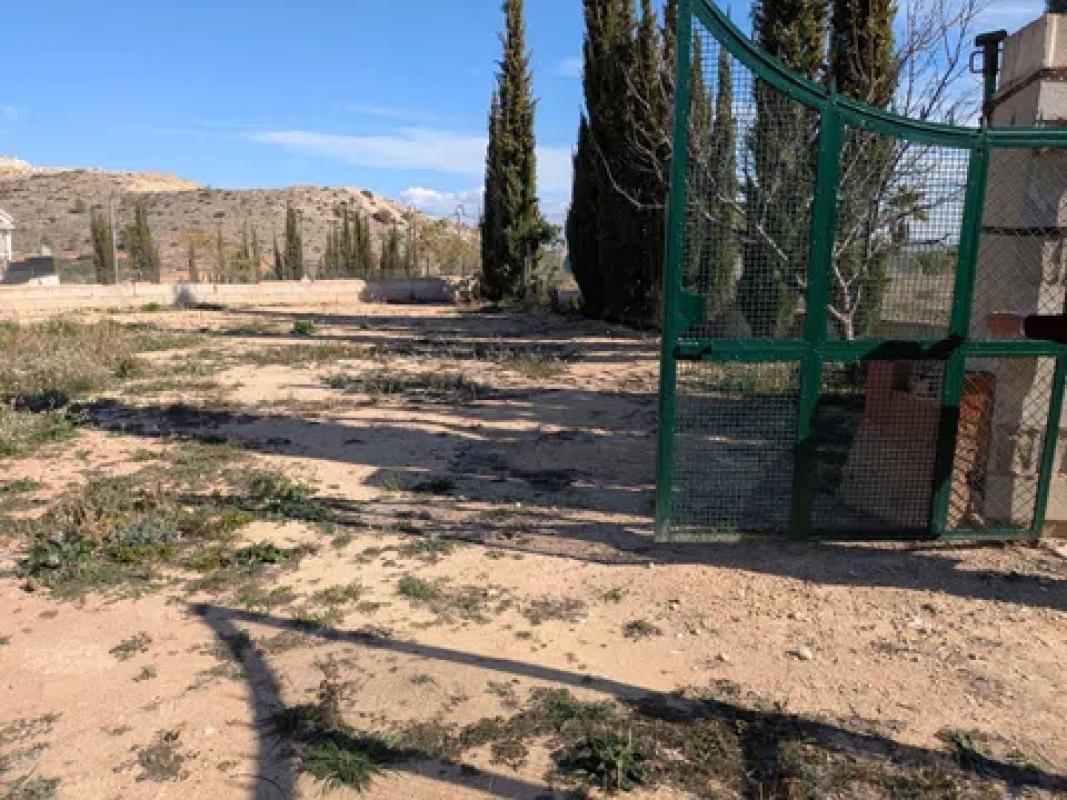Land for sale in La Romana, Alicante photo 2