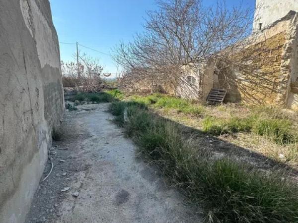 Terreno en San Fulgencio photo 2