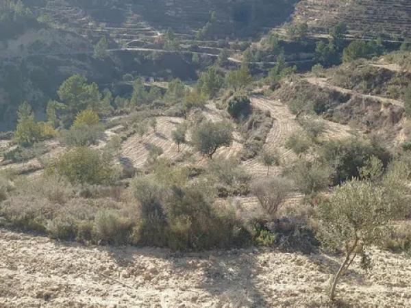 Terreno en Partida Bortolons photo 3