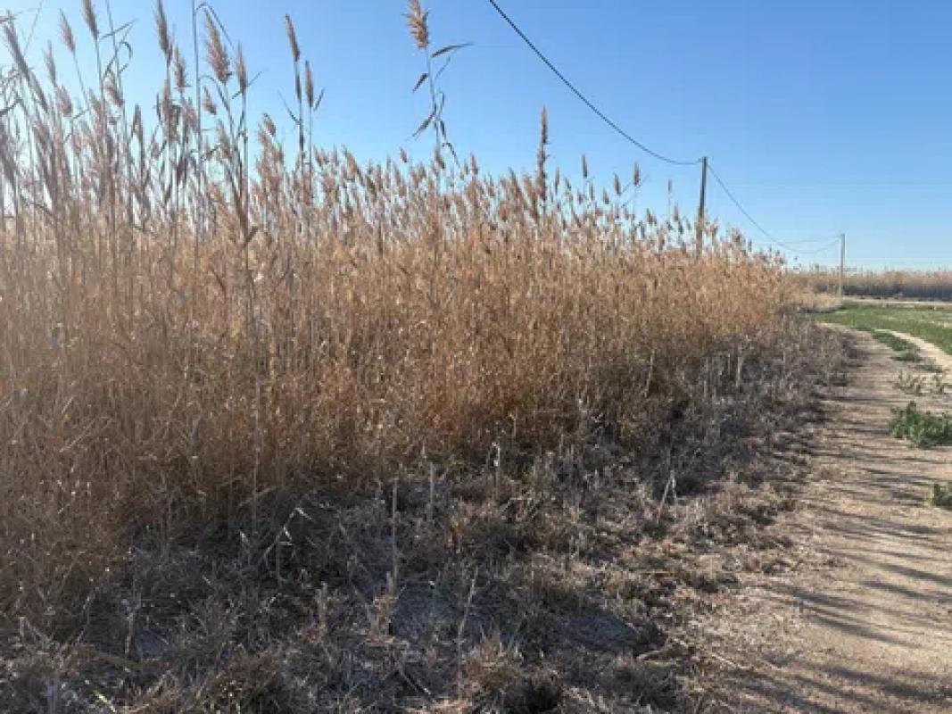 Terreno en venta en Elche / Elx, Alicante photo 1