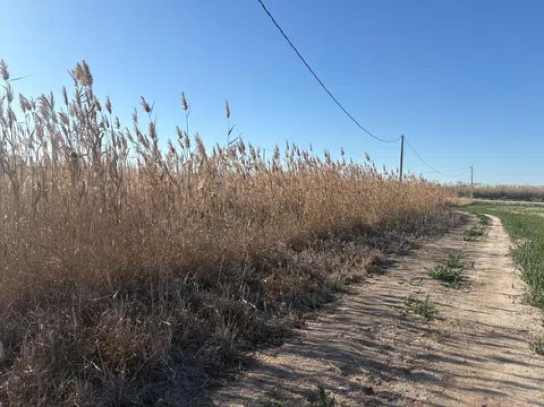 Terreno en venta en Elche / Elx, Alicante photo 2
