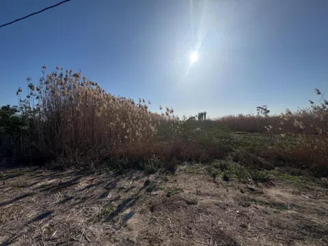 Terreno en venta en Elche / Elx, Alicante photo 3