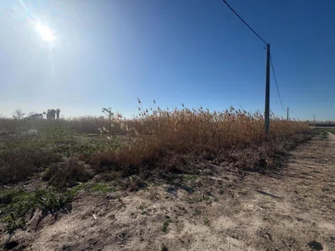 Terreno en venta en Elche / Elx, Alicante photo 4