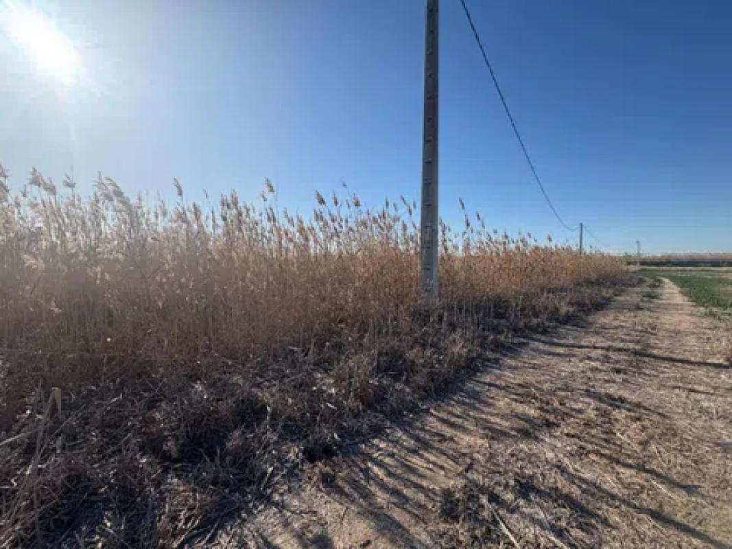Terreno en venta en Elche / Elx, Alicante photo 5