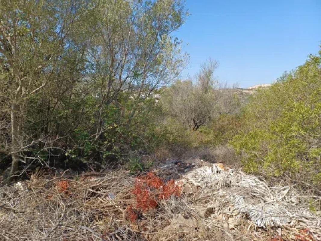 Terreno en venta en Rafol de Almunia, Alicante photo 2