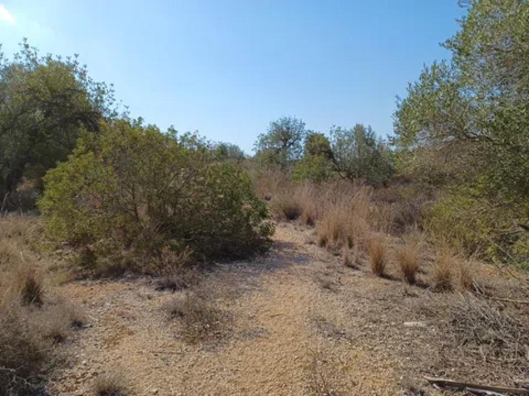 Terreno en venta en Rafol de Almunia, Alicante photo 3