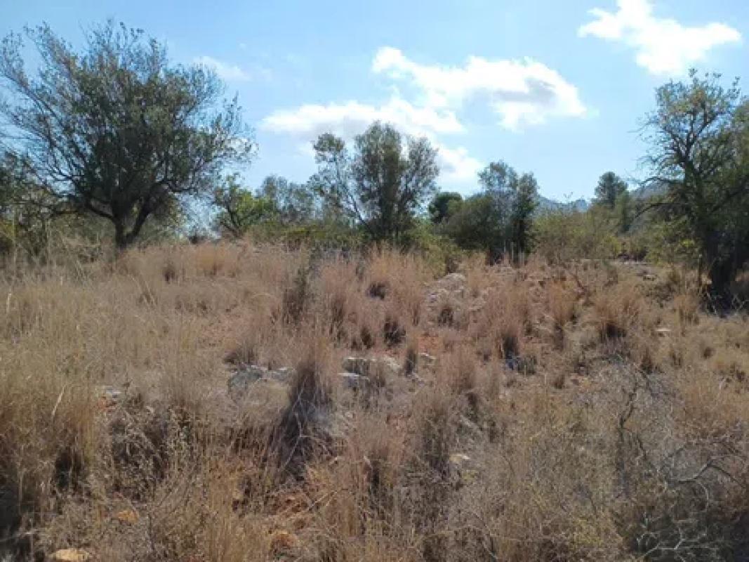 Terreno en venta en Rafol de Almunia, Alicante photo 4