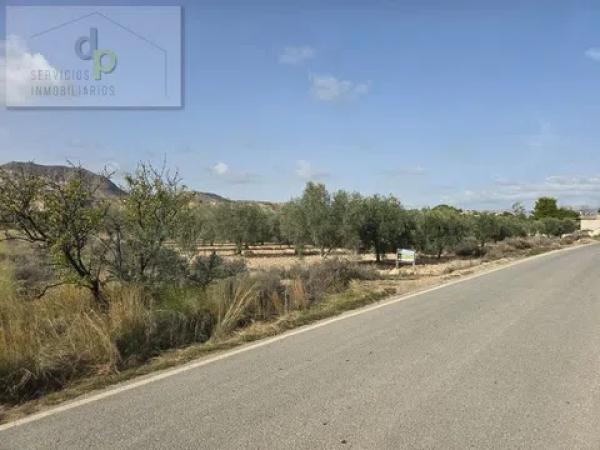Terreno en Moralet photo 1