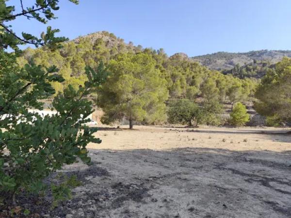 Terreno en calle Málaga m Pinar photo 4