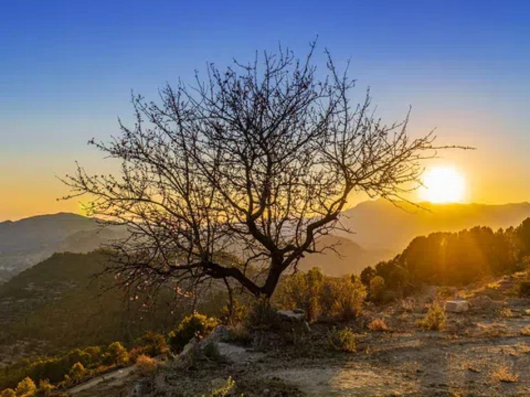 Terreno en venta en Sella, Alicante photo 2