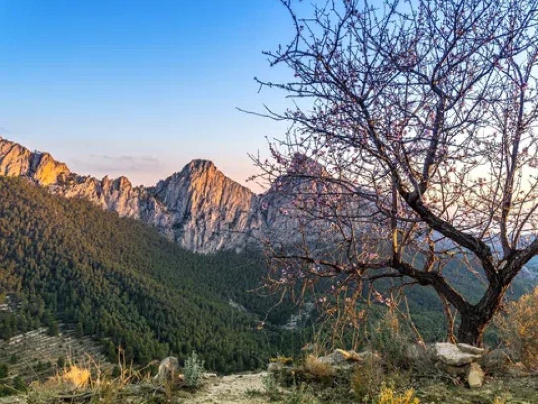 Terreno en venta en Sella, Alicante photo 4