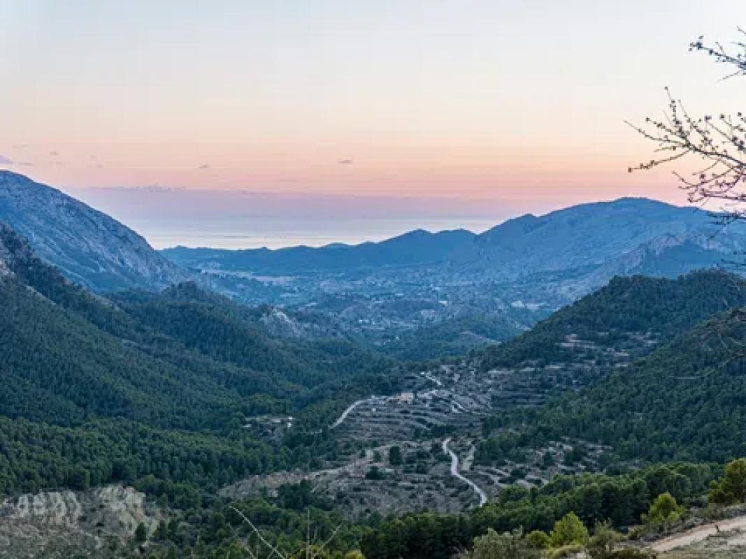 Terreno en venta en Sella, Alicante photo 5
