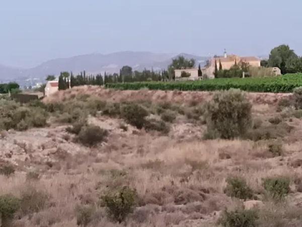 Terreno en Paraje Horna baja pol,30 par,29 s/n thumbnail 2