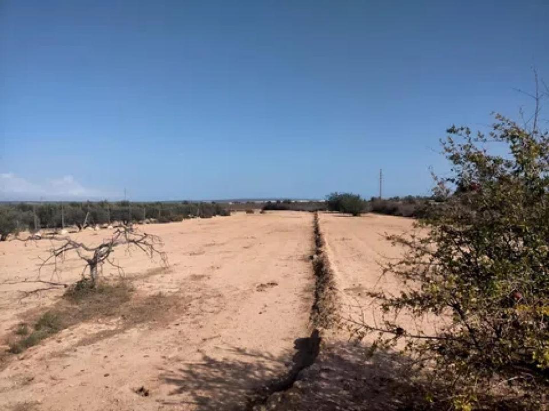 Działka na sprzedaż w Elche / Elx, Alicante photo 2