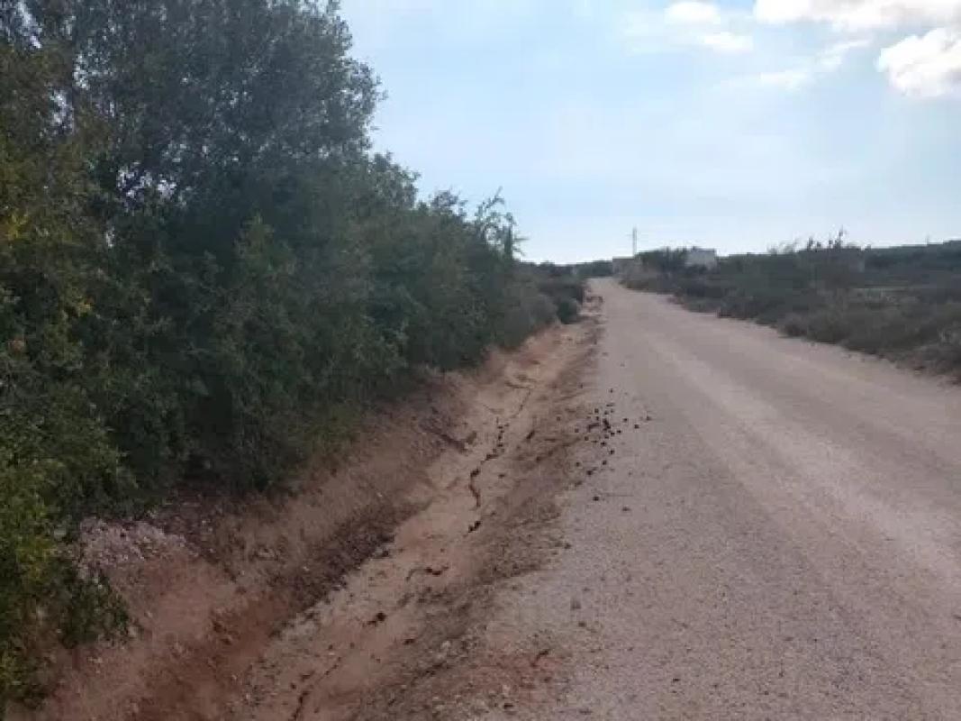 Działka na sprzedaż w Elche / Elx, Alicante photo 4