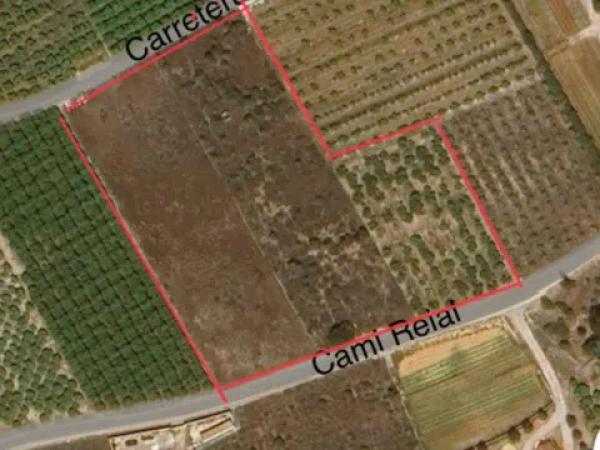 Terreno en camino Reial s/n photo