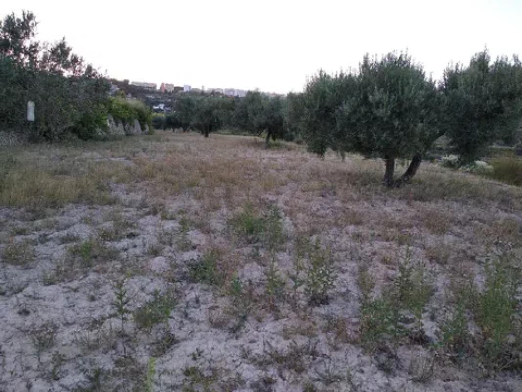 Land for sale in Benissa, Alicante photo 1