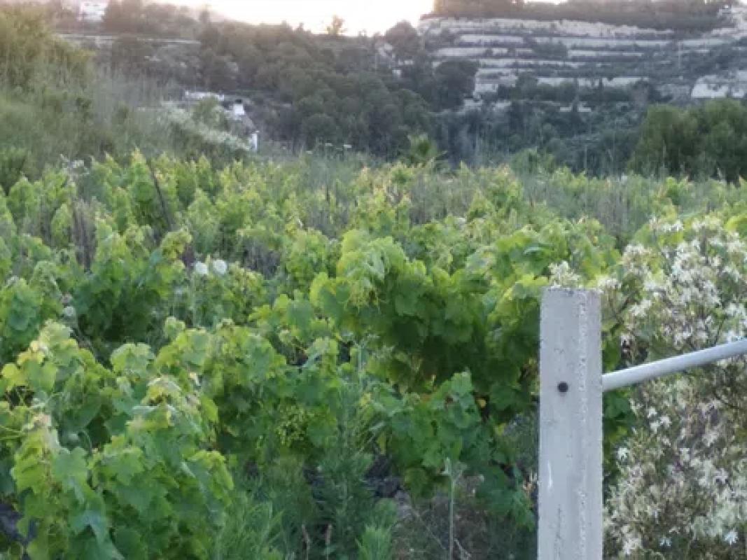 Land for sale in Benissa, Alicante photo 3