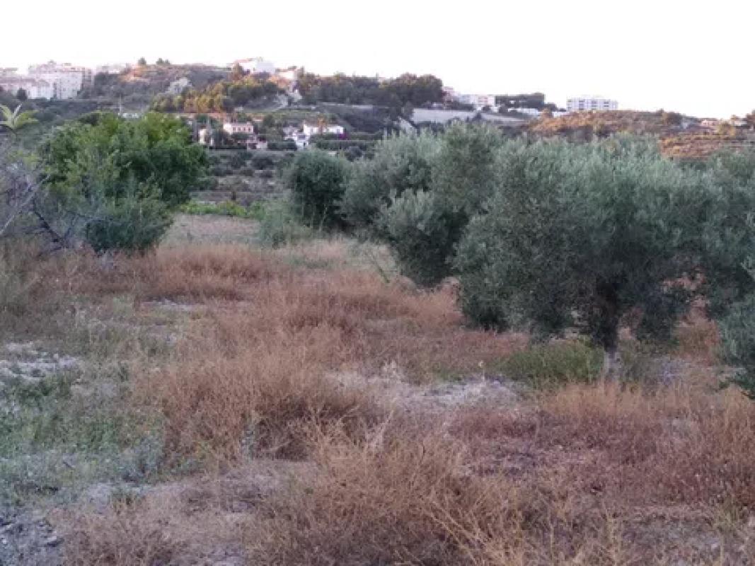 Land for sale in Benissa, Alicante photo 4