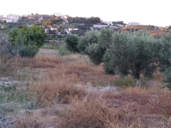 Terreno en Partida Coet photo 4