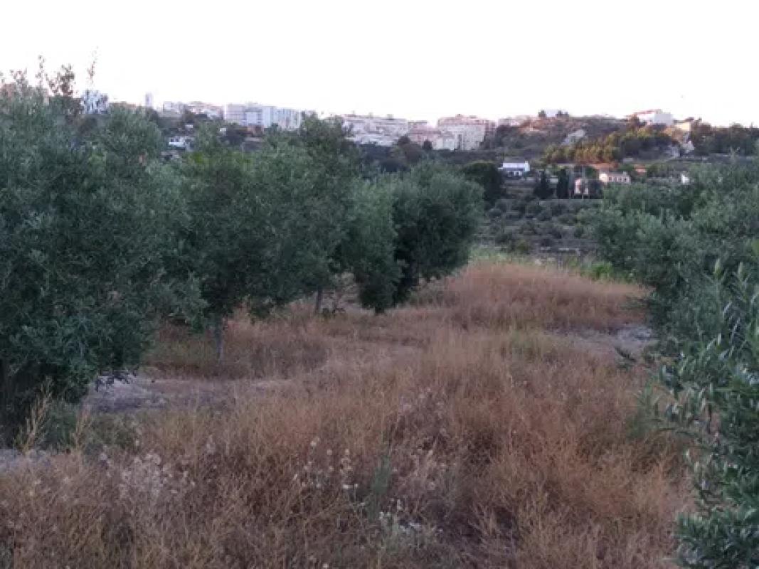 Land for sale in Benissa, Alicante photo 5