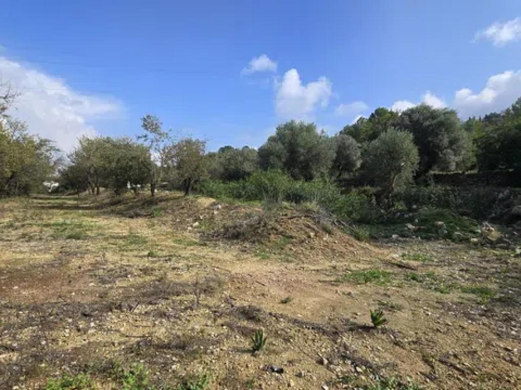 Terreno en venta en Orba, Alicante photo 5