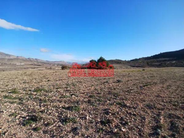 Terreno en Hondón de los Frailes photo 1