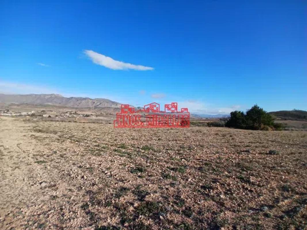 Terreno en venta en Hondón de los Frailes, Alicante photo 2