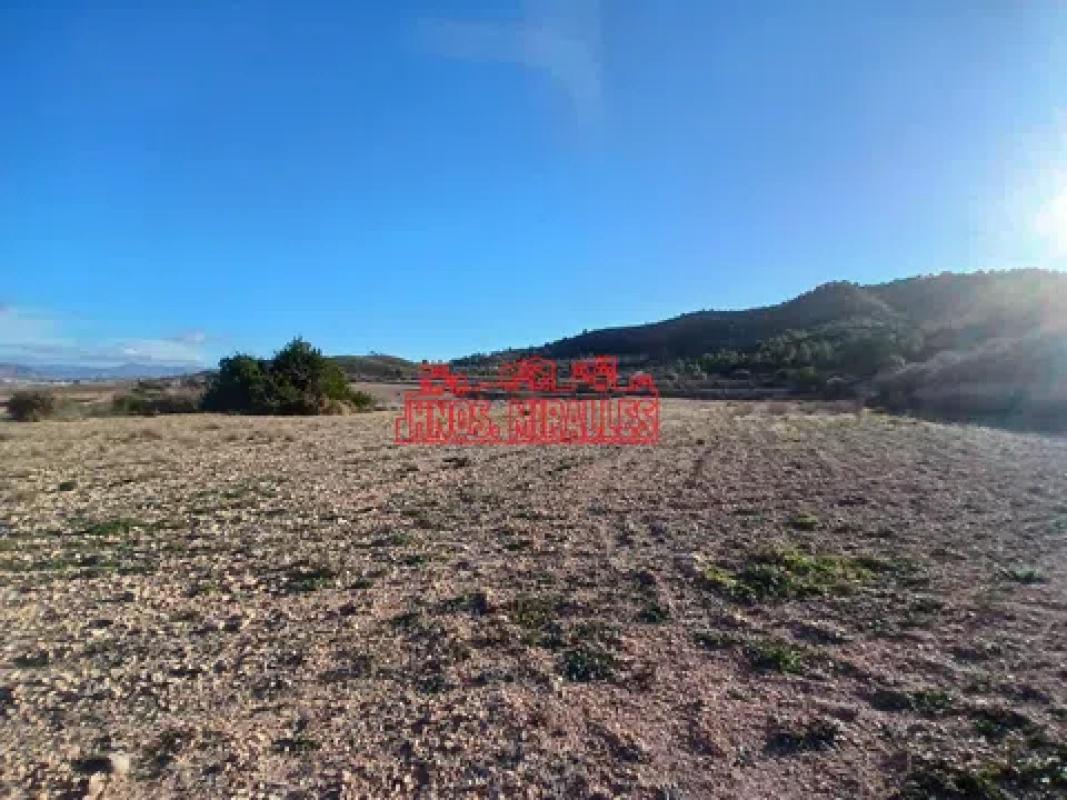 Terreno en venta en Hondón de los Frailes, Alicante photo 3