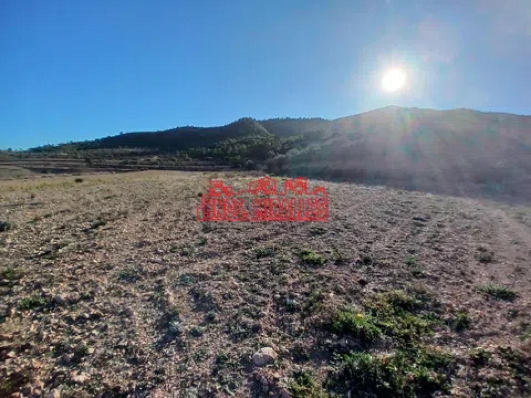 Terreno en venta en Hondón de los Frailes, Alicante photo 4