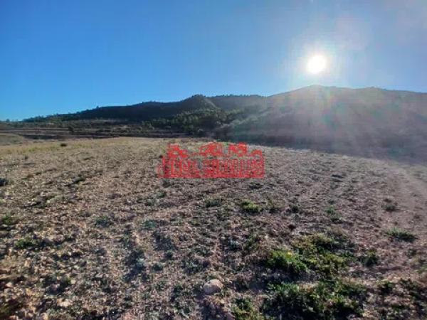 Terreno en Hondón de los Frailes photo 4