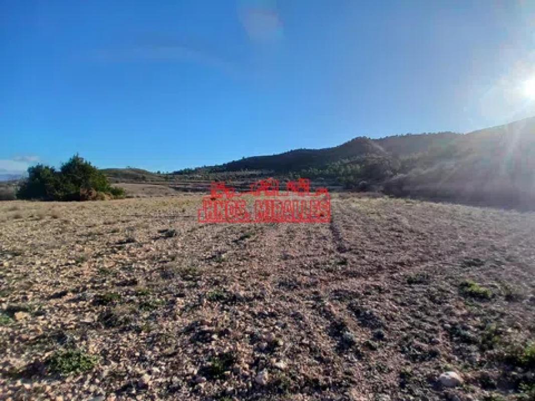 Terreno en venta en Hondón de los Frailes, Alicante photo 5