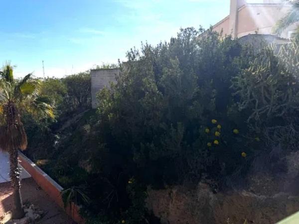 Terreno en Barrio Lomas de Cabo Roig-Los Dolses photo 3
