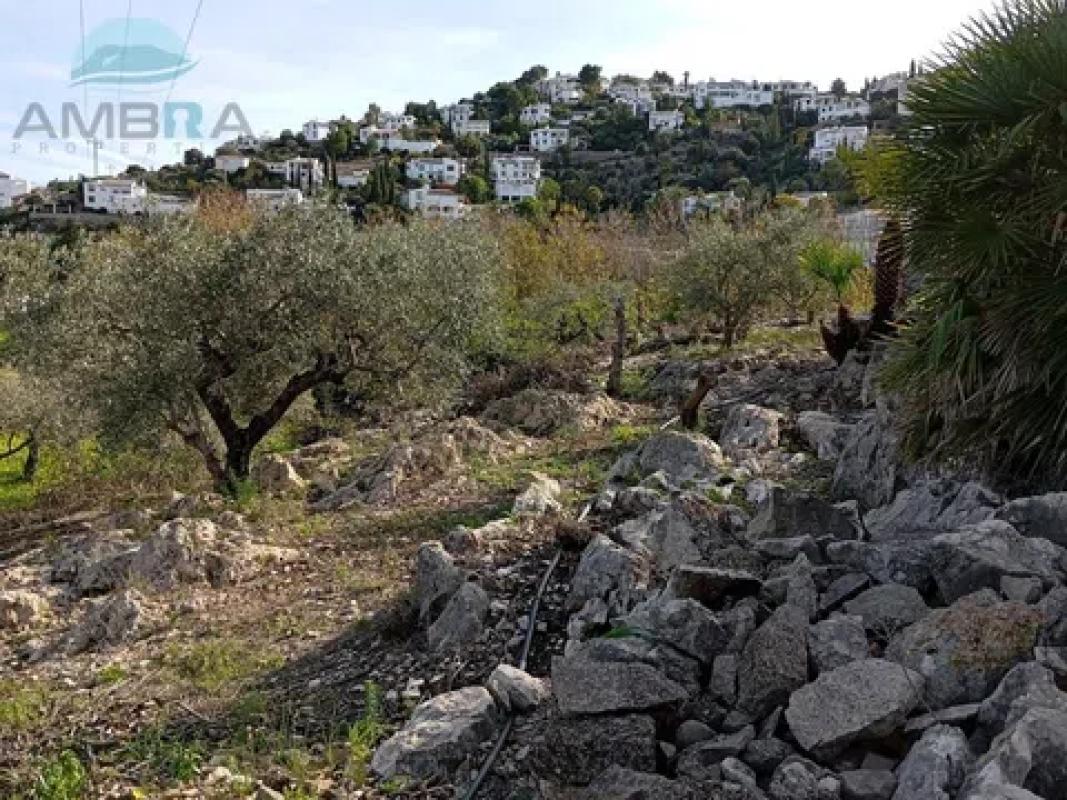 Land for sale in Pego, Alicante photo 2