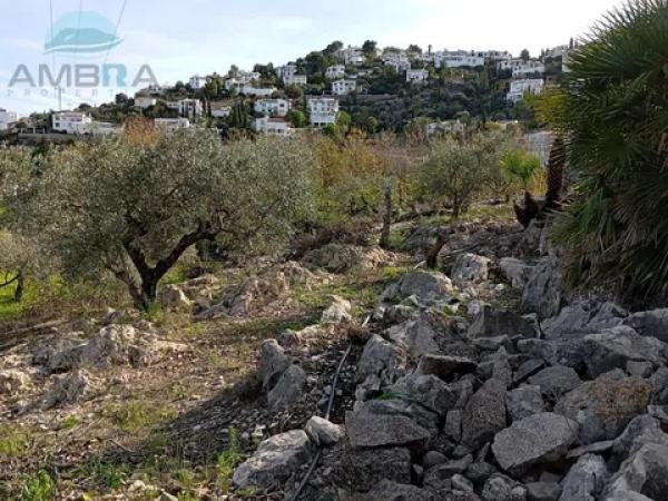 Terreno en Pego photo 2