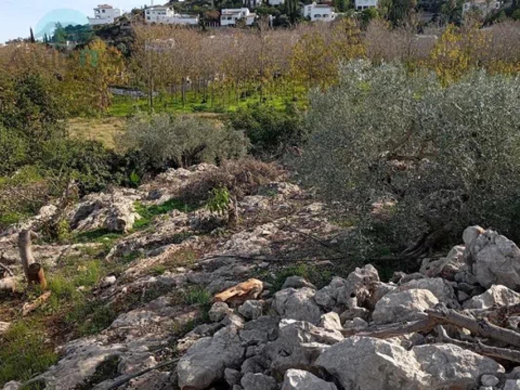 Land for sale in Pego, Alicante photo 3