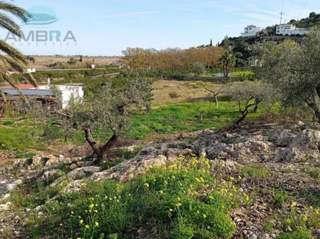 Land for sale in Pego, Alicante photo 4