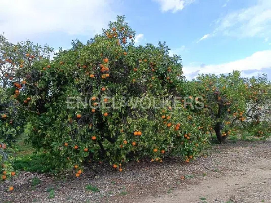 Terreno en venta en Denia, Alicante photo 3